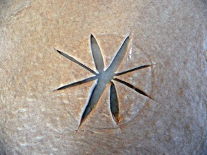 Ham and Cheese Stuffed Bread Wreath: cut a "star" in the middle of the dough