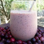 Pumpkin Maple Cranberry Protein Smoothie