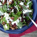 Cranberry Pecan Salad with Goat Cheese Crumbles ~ SumptuousSpoonfuls.com