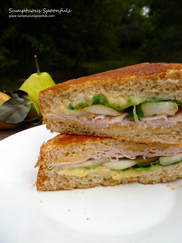 Smoky Grilled Turkey, Gouda & Pear Sandwich with Arugula ~ Sumptuous Spoonfuls #sandwich #recipe