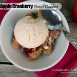 Maple Apple Cranberry Bread Pudding ~ Sumptuous Spoonfuls #dessert #recipe