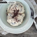 Stracciatella Gelato ~ Sumptuous Spoonfuls #Italian #Ice Cream #recipe