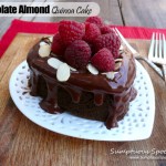 Chocolate Almond Quinoa Cake ~ Sumptuous Spoonfuls #flourless #cake #recipe