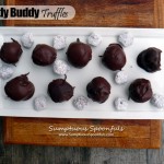 Muddy Buddy Truffles ~ Sumptuous Spoonfuls #puppy chow #truffles #recipe