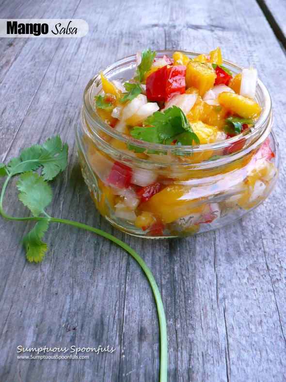 Mango  Salsa ~ Sumptuous Spoonfuls #easy #fruit #salsa #recipe