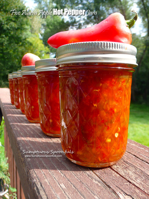 Five Alarm Apple Hot Pepper Jam ~ Sumptuous Spoonfuls #hot #sweet #apple #jalapeno #jam #recipe