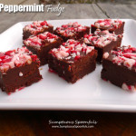 Easy Peppermint Fudge ~ Sumptuous Spoonfuls #simple #peppermint #chocolate #fudge #holiday #candy #recipe