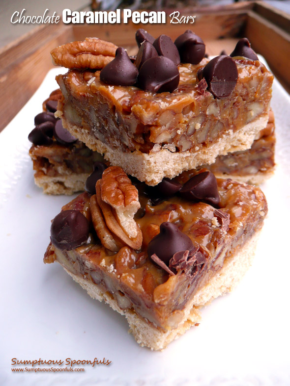 Chocolate Caramel Pecan Bars ~ Sumptuous Spoonfuls #dulcedeleche #pecan #bars #recipe