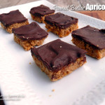 Peanut Butter Apricot Bars ~ Sumptuous Spoonfuls #chocolate #pb&j #light #dessert #recipe