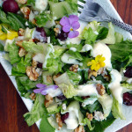 Roasted Grape & Walnut Salad with blue cheese, fresh mint and a maple ginger yogurt dressing ~ Sumptuous Spoonfuls #grape #salad #recipe