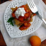 Apricot Mint Dessert Salsa ~ Sumptuous Spoonfuls #dessert #salsa #recipe