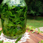 Homemade Mint Extract ~ Sumptuous Spoonfuls #DIY #mint #extract #recipe