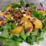 Peach Pecan Pulled Pork Salad with Smoky Chipotle BBQ Ranch Dressing ~ Sumptuous Spoonfuls #salad for #dinner #recipe