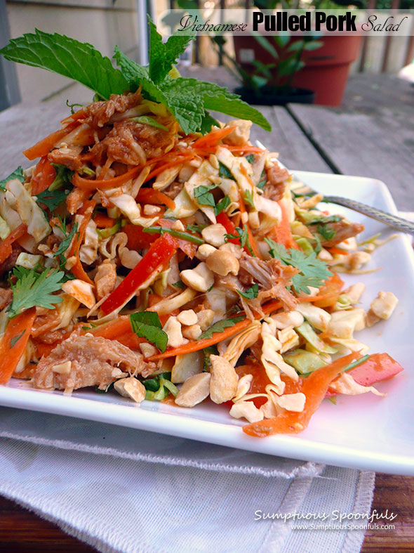 Vietnamese Pulled Pork Salad ~ Sumptuous Spoonfuls #easy #cabbage #pork #salad #recipe