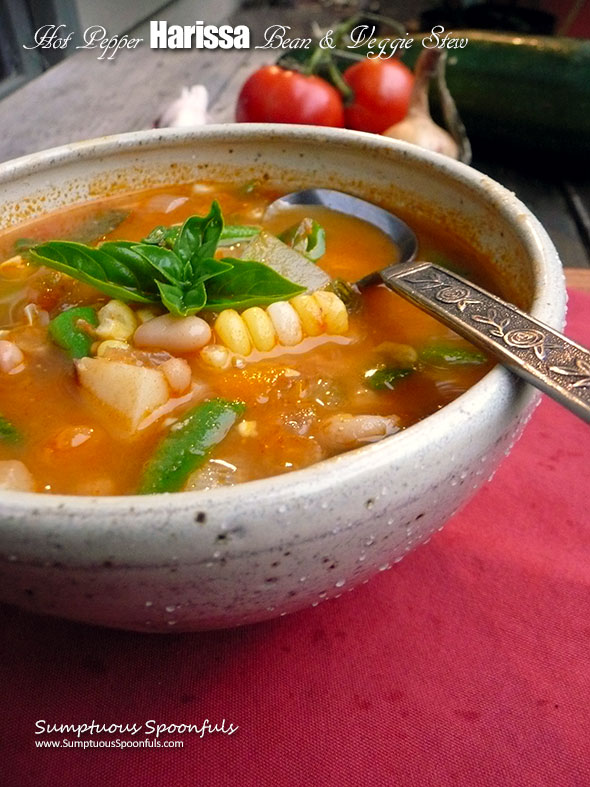 Hot Pepper Harissa Bean & Veggie Stew ~ Sumptuous Spoonfuls #spicy #vegetable #stew #recipe