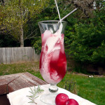 Rosemary Plum Italian Cream Sodas ~ Sumptuous Spoonfuls #homemade #Italian #soda #recipe