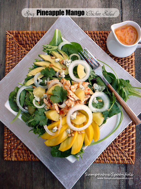 Spicy Pineapple Mango Chicken Salad with Fiery Roasted Pineapple Vinaigrette ~ Sumptuous Spoonfuls #tropical #hot #chicken #salad #recipe