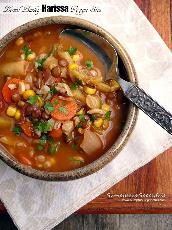 Barley Lentil Harissa Veggie Stew ~ Sumptuous Spoonfuls #vegetable #stew #recipe #glutenfree #vegetarian