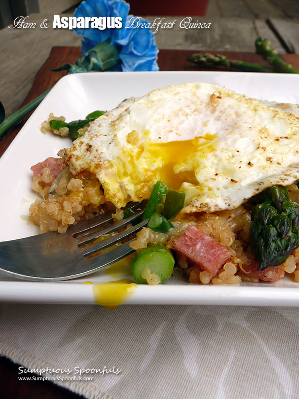 Ham & Asparagus Breakfast QUinoa ~ Sumptuous Spoonfuls #cheesy #breakfast #quinoa #egg #recipe