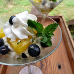 Pineapple Blueberry Cloud Parfaits ~ Sumptuous Spoonfuls #light #fruity #summer #dessert #recipe