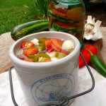 Asian Quick Pickled Veggies ~ Sumptuous Spoonfuls #easy #Asian #refrigerator #pickles #recipe