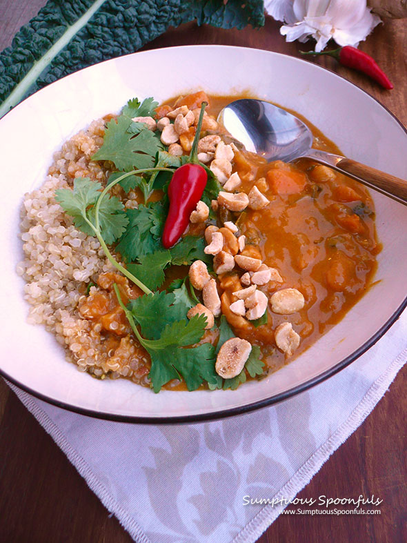 West African Peanut Stew ~ Sumptuous Spoonfuls #spicy #vegetarian #stew #recipe