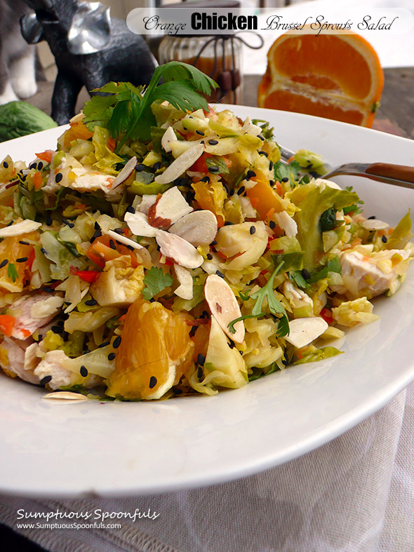 Asian Orange Chicken Brussel Sprouts Salad ~ Sumptuous Spoonfuls #chinese #chicken #salad #recipe