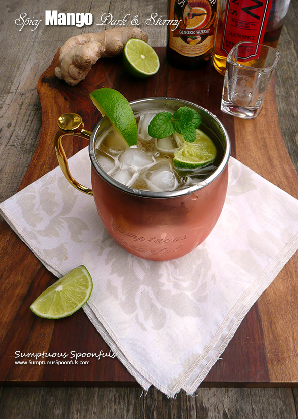 Spicy Mango Dark & Stormy Cocktail ~ Sumptuous Spoonfuls #cocktail #recipe