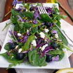 Blueberry Wild Violet Salad ~ Sumptuous Spoonfuls #purple #spring #salad #recipe