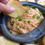 Skinny Vampire Dip ~ Sumptuous Spoonfuls #garlic #dip #recipe