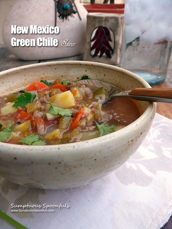 New Mexico Green Chile Stew ~ Sumptuous Spoonfuls #NM #recipe