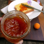 Brandied Ginger Apricot Jam ~ Sumptuous Spoonfuls #boozy #jam #recipe #noPectin