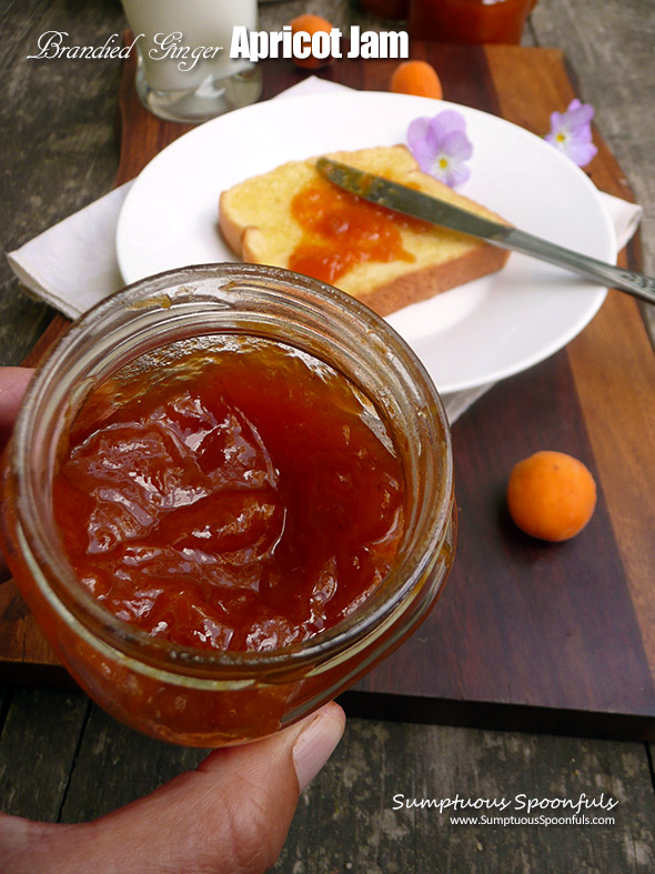 Brandied Ginger Apricot Jam ~ Sumptuous Spoonfuls #boozy #jam #recipe #noPectin