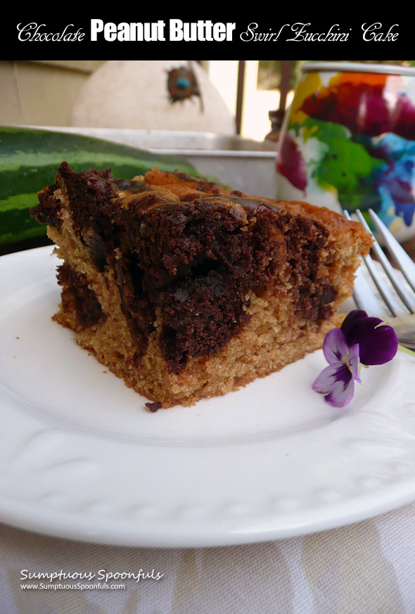 Chocolate Peanut Butter Swirl Zucchini Cake ~ Sumptuous Spoonfuls #PB #zucchini #cake #recipe