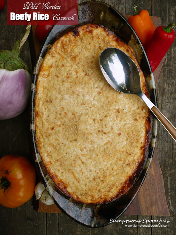 Wild Garden Beefy Rice Casserole ~ a flavorful casserole filled with beef and rice in a zesty harissa sauce with loads of fresh garden veggies and topped with a creamy yogurt bechamel sauce