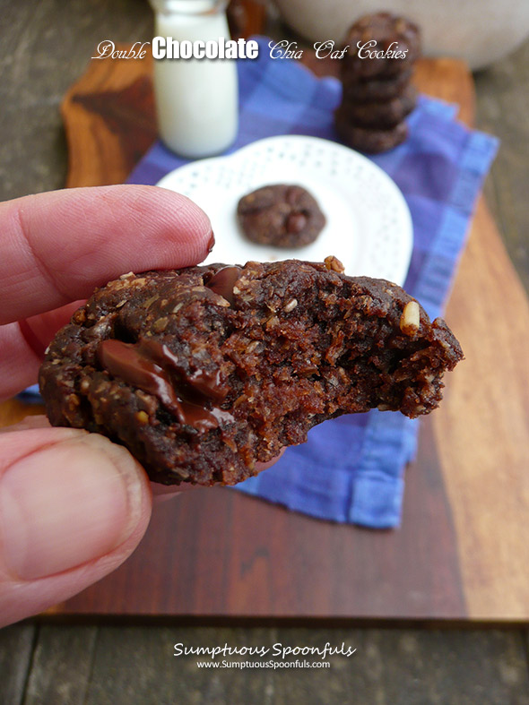 Double Chocolate Chia Oat Cookies Sumptuous Spoonfuls