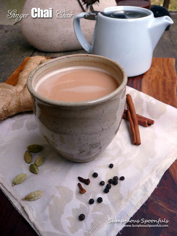 Ginger Chai Elixir ~ a delightful cup of spices with magical healing properties