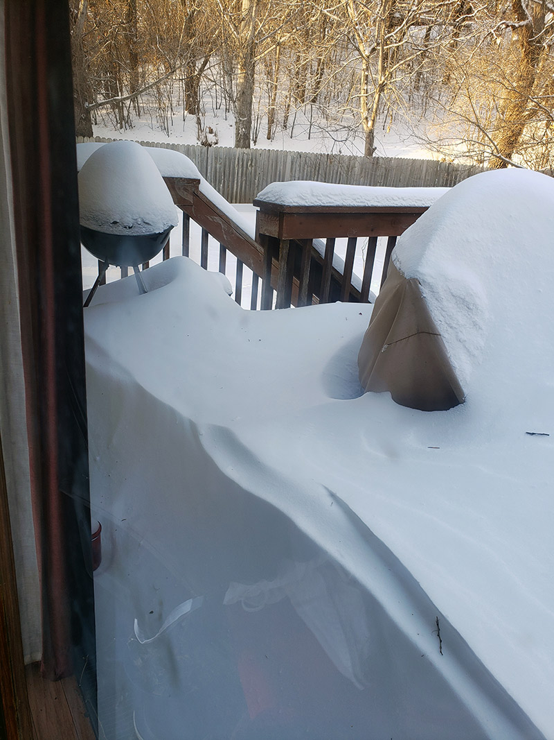 Snowy day on my back patio