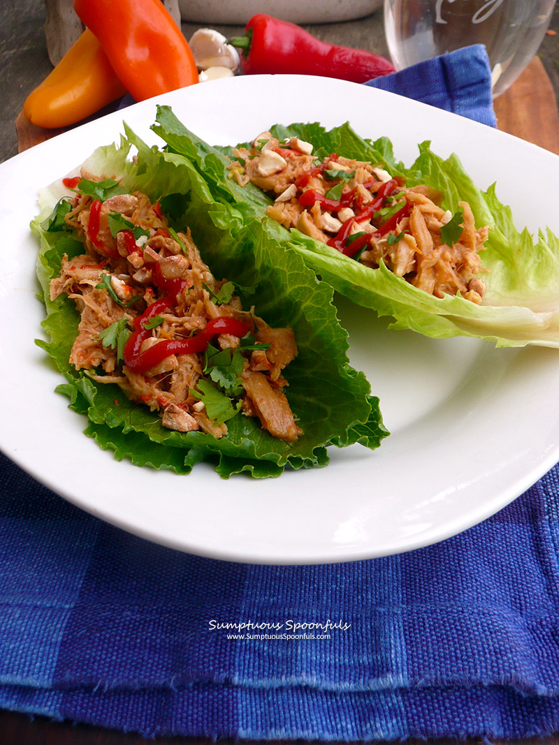 Instant Pot Asian Peanut Chicken Lettuce Wraps