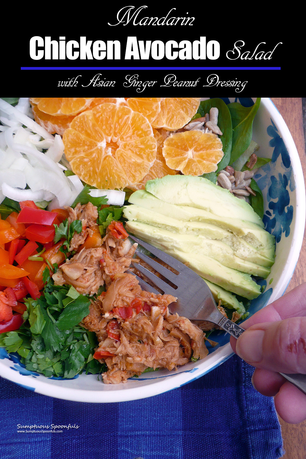 Mandarin Chicken Avocado Salad with Asian Ginger Peanut Dressing