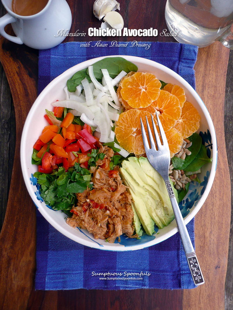 Mandarin Chicken Avocado Salad with Asian Ginger Peanut Dressing