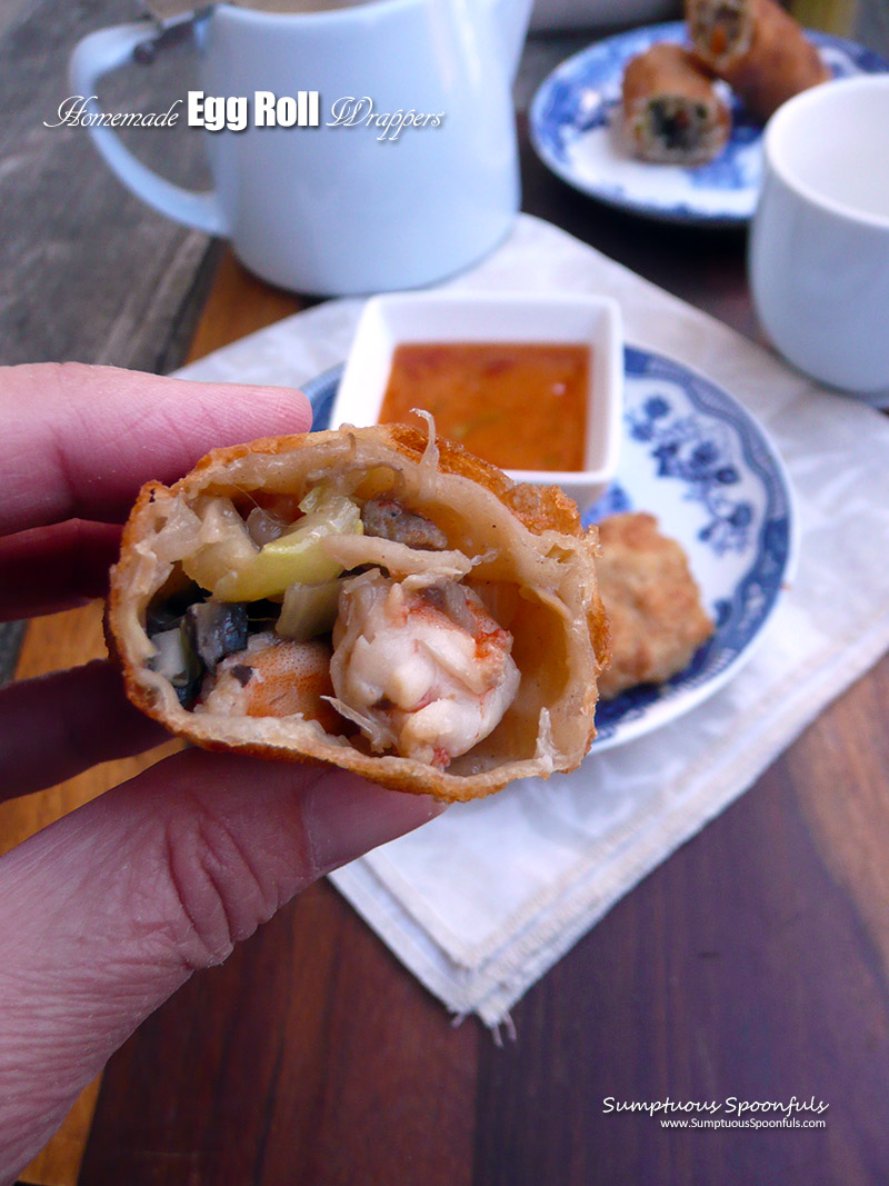 Homemade Egg Roll Wrappers + 23 Ways to use them