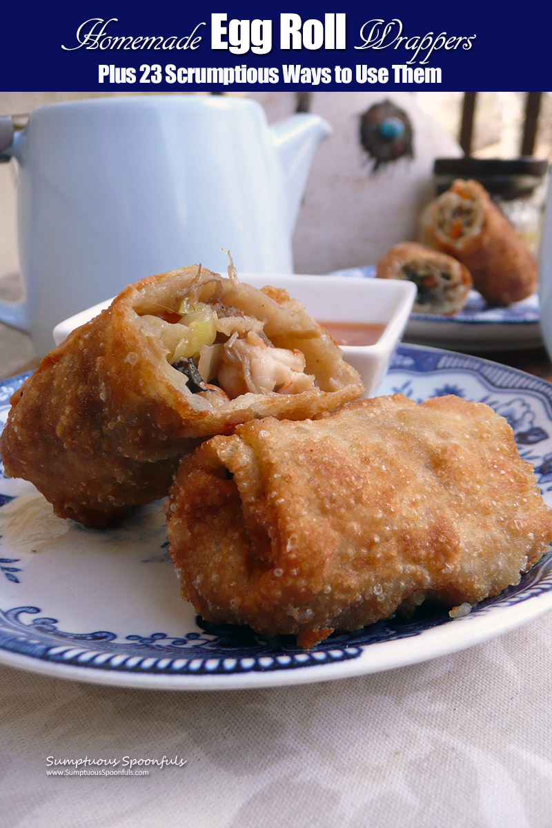 Homemade Egg Roll Wrappers + 23 Ways to use them