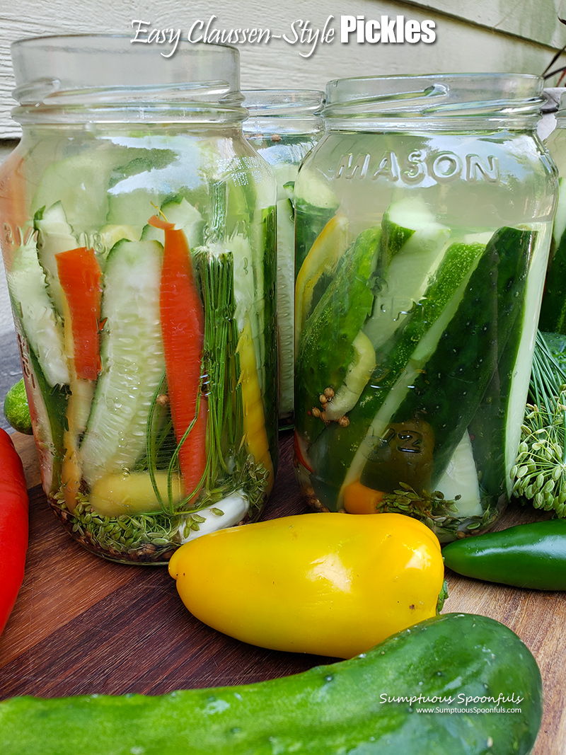 Note that there is a good amount of space in the top of the jar for the brine to fully cover the pickles, with no bits sticking out. This is important for properly fermented pickles!