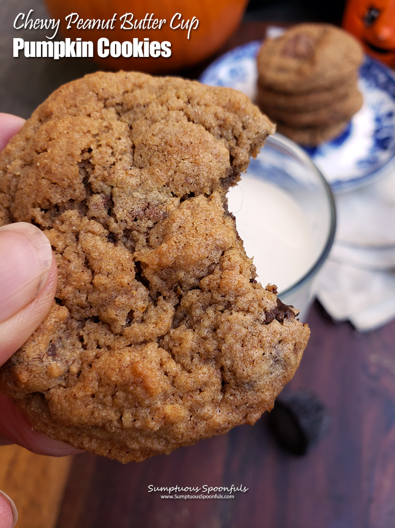 Mini Brown Butter Chocolate Chip Cookies (Bite-Sized!) ~ Barley & Sage