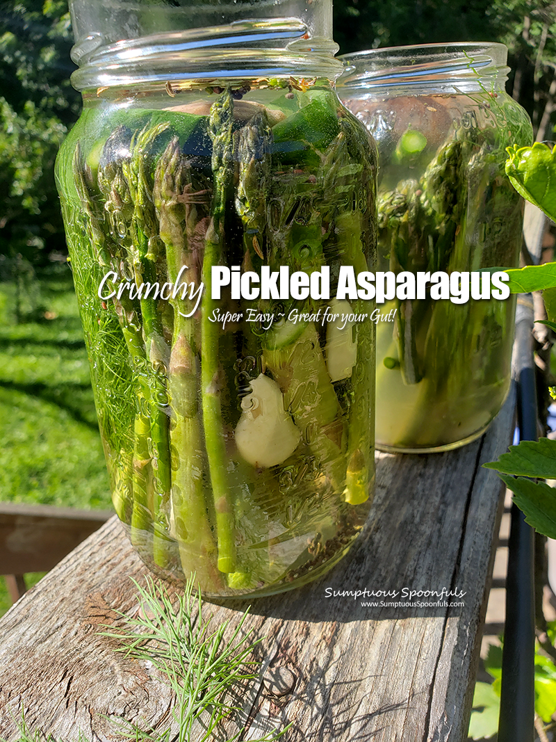 https://www.sumptuousspoonfuls.com/wp-content/uploads/2022/06/Super-Easy-Crunchy-Pickled-Asparagus-Probiotics-Guthealth.png
