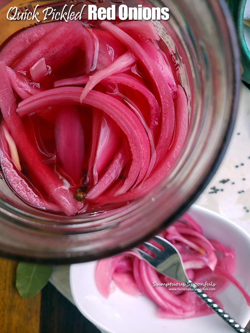 https://www.sumptuousspoonfuls.com/wp-content/uploads/2022/07/Quick-Pickled-Red-Onions-2.png