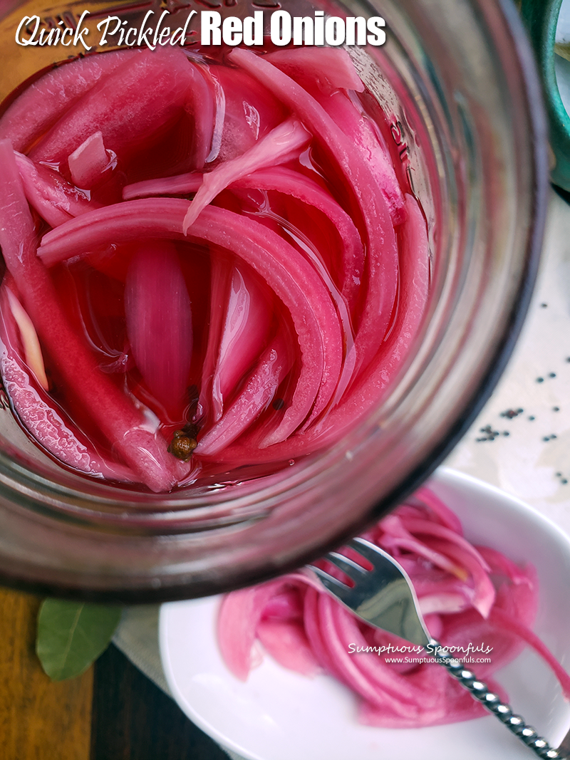 Pickled Red Onions