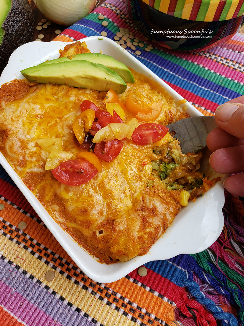 https://www.sumptuousspoonfuls.com/wp-content/uploads/2022/10/Broccoli-Lentil-Enchiladas-for-One-or-Two-2.png