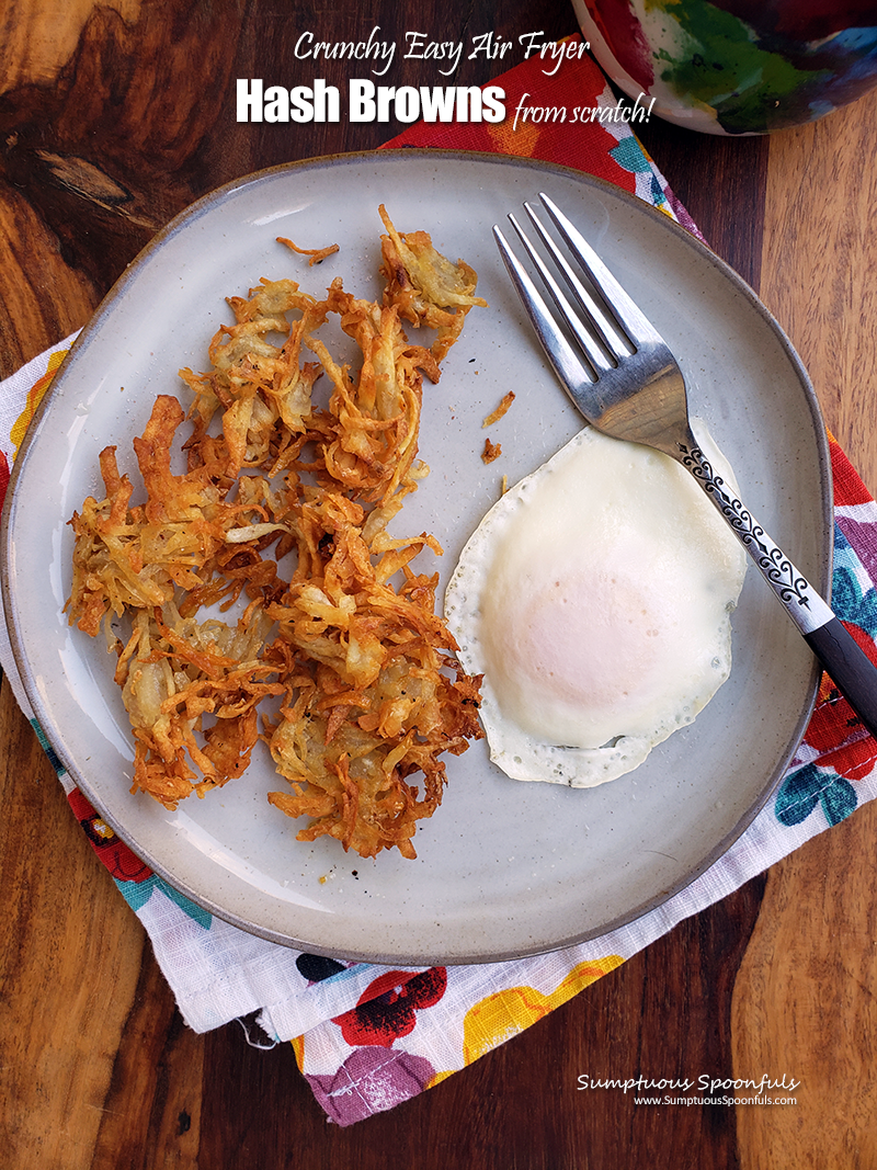 https://www.sumptuousspoonfuls.com/wp-content/uploads/2022/10/Crunchy-Easy-Air-Fryer-Hash-Browns-from-scratch.png